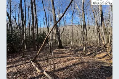Tbd Bald Mountain Road, West Jefferson, NC 28694 - Photo 3