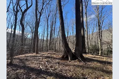 Tbd Bald Mountain Road, West Jefferson, NC 28694 - Photo 7