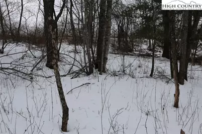 Tbd Cedar Hill Drive, Crumpler, NC 28617 - Photo 11