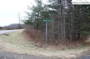 Tbd Cedar Hill Dr, Crumpler, NC 28617 - Photo 1