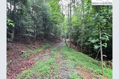 Tbd Staghorn Road, Purlear, NC 28665 - Photo 13