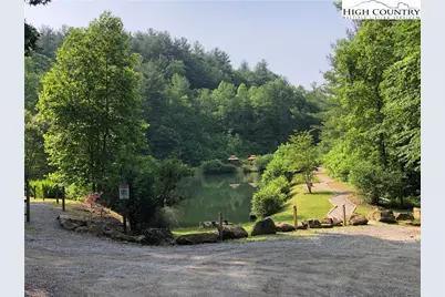 Tbd Staghorn Road, Purlear, NC 28665 - Photo 45