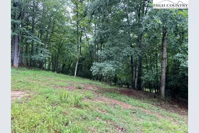 Tbd Staghorn Road, Purlear, NC 28665 - Photo 11