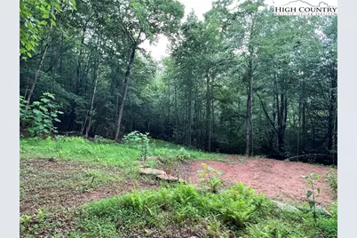 Tbd Staghorn Road, Purlear, NC 28665 - Photo 17
