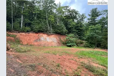 Tbd Staghorn Road, Purlear, NC 28665 - Photo 23