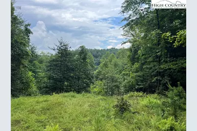 Tbd Staghorn Road, Purlear, NC 28665 - Photo 7