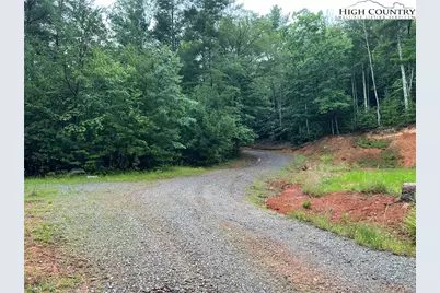 Tbd Staghorn Road, Purlear, NC 28665 - Photo 21