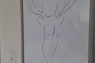 301 Pinnacle Inn Rd, Beech Mountain, NC 28604 - Photo 11