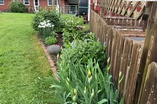 1083 Comers Rock Rd Rd, Elk Creek, VA 24326 - Photo 37