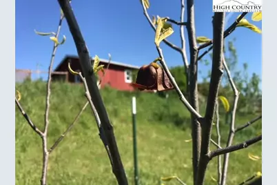 1083 Comers Rock Rd. Road, Elk Creek, VA 24326 - Photo 31