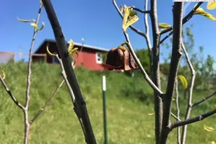 1083 Comers Rock Rd Rd, Elk Creek, VA 24326 - Photo 31