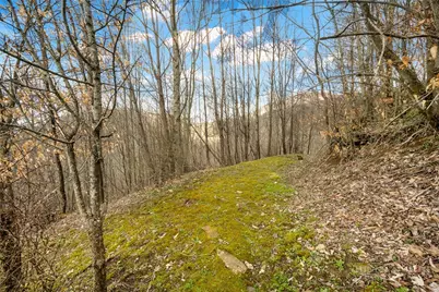 212 Goat Mountain Road, Zionville, NC 28698 - Photo 43