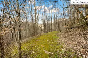212 Goat Mountain Rd, Zionville, NC 28698 - Photo 39