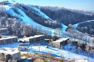303 Sugar Top Dr, Sugar Mountain, NC 28604 - Photo 23