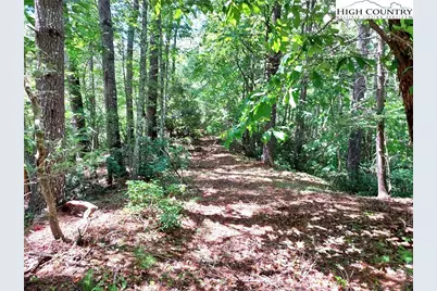 5354 West Ridge Lane, Ferguson, NC 28624 - Photo 3