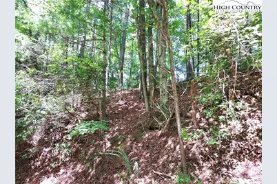 5354 West Ridge Lane, Ferguson, NC 28624 - Photo 5