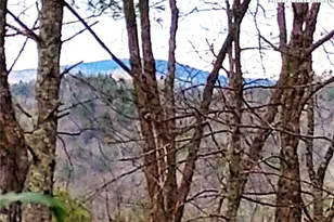 5354 West Ridge Ln, Ferguson, NC 28624 - Photo 1