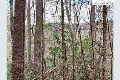 5354 West Ridge Lane, Ferguson, NC 28624 - Photo 7