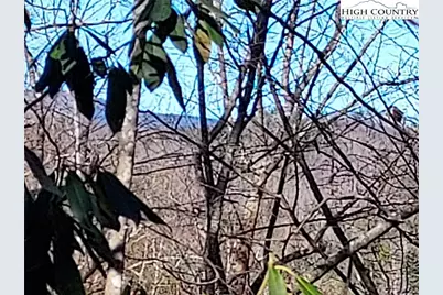 5354 West Ridge Lane, Ferguson, NC 28624 - Photo 13