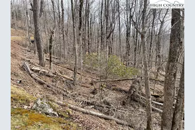 Tbd Tynecastle Drive, Banner Elk, NC 28604 - Photo 7