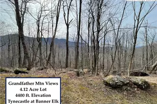 Tbd Tynecastle Dr, Banner Elk, NC 28604 - Photo 1
