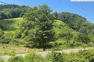 Tbd Hwy 88 Hwy, Creston, NC 28615 - Photo 1