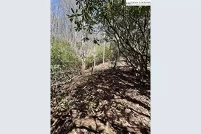 Tbd Hwy 88 Highway, Creston, NC 28615 - Photo 7