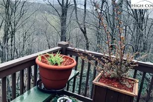 242 Wallace Crossing, Todd, NC 28684 - Photo 47