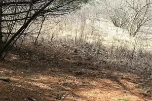 Tbd Deer Path Rd, Crumpler, NC 28617 - Photo 1