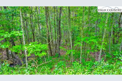Tbd 6 Christmas Mountain Lane, Fleetwood, NC 28626 - Photo 19