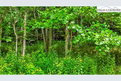 Tbd 6 Christmas Mountain Lane, Fleetwood, NC 28626 - Photo 7