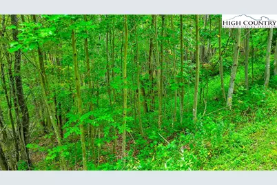 Tbd 6 Christmas Mountain Lane, Fleetwood, NC 28626 - Photo 17