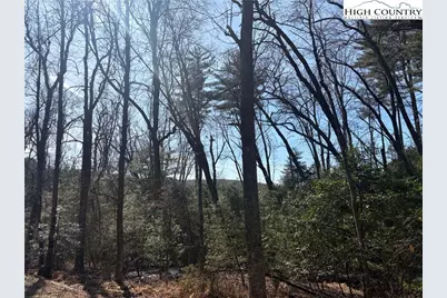 Tbd Hwy 21 S/Hollyknoll Rd., Glade Valley, NC 28627 - Photo 9