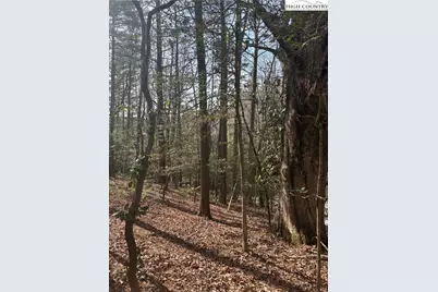 Tbd Hollyknoll Rd. Lot #49 & 50, Glade Valley, NC 28627 - Photo 1