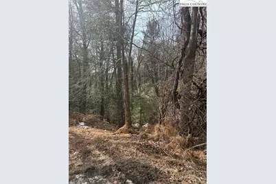 Tbd Hollyknoll Rd. Lot #49 & 50, Glade Valley, NC 28627 - Photo 5
