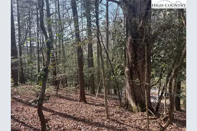 Tbd Hollyknoll Rd. Lot #49 & 50, Glade Valley, NC 28627 - Photo 7