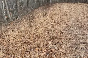 Lot 56 Happy Eden Dr, Piney Creek, NC 28663 - Photo 1