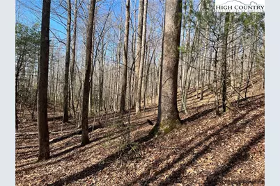 Lot 521 Timber Rock Drive, Lenoir, NC 28604 - Photo 7