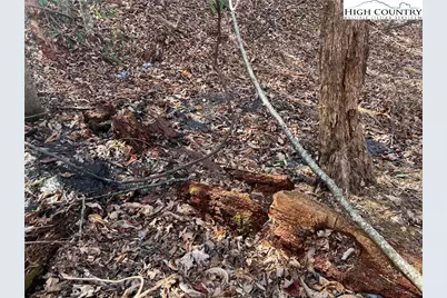 Lot 521 Timber Rock Drive, Lenoir, NC 28604 - Photo 9