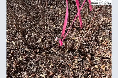 Lot 521 Timber Rock Drive, Lenoir, NC 28604 - Photo 13