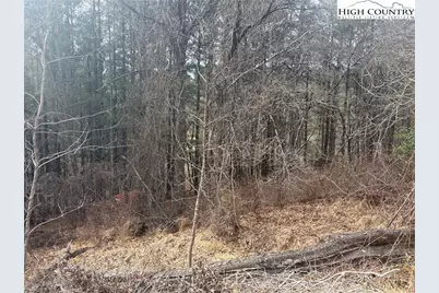 Tbd 6-K River Run Lane, Sparta, NC 28675 - Photo 3