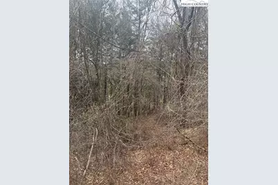 Tbd 6-K River Run Lane, Sparta, NC 28675 - Photo 3