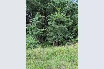 Tbd 6-K River Run Lane, Sparta, NC 28675 - Photo 1