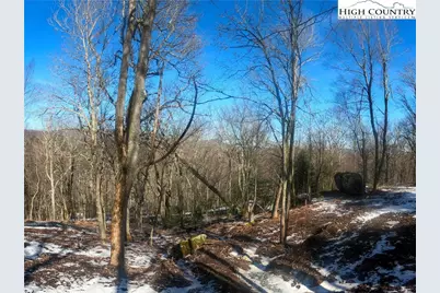 Lot 78 Belmont, Boone, NC 28607 - Photo 11