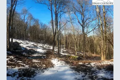 Lot 78 Belmont, Boone, NC 28607 - Photo 5