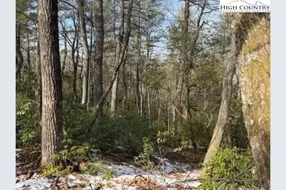 Tbd Lot 18 Walden Lane, West Jefferson, NC 28694 - Photo 5