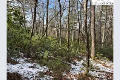 Tbd Lot 18 Walden Lane, West Jefferson, NC 28694 - Photo 3