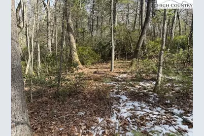 Tbd Lot 18 Walden Lane, West Jefferson, NC 28694 - Photo 1