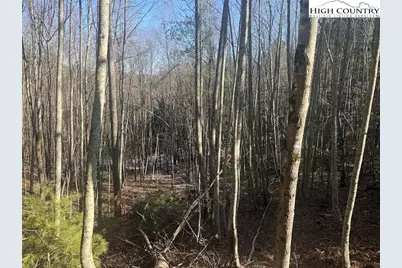 Tbd Lower Springs Drive, Jefferson, NC 28640 - Photo 9