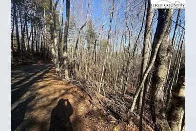 Tbd Lower Springs Drive, Jefferson, NC 28640 - Photo 7